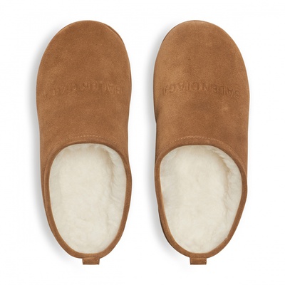 Мюлі Balenciaga Alaska Soft Mule in Brown 825258WBFC12200 (Коричневий) - фото 4 