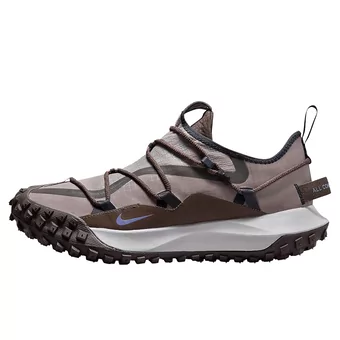 Кросівки Nike ACG Mountain Fly Low SE Ironstone