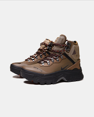 Кросівки Nike ACG Zoom Gaiadome Gore-Tex 'Trails End Brown' DD2858-200 (Коричневий) - фото 2 