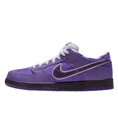 Кроссовки Nike SB Dunk Low Concepts Purple Lobster BV1310-555 (Фиолетовый) - фото 3 