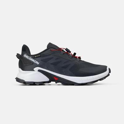 Кросівки Salomon Alphacross 5 GORE-TEX Blue White (Синій) - фото 1 Keedy