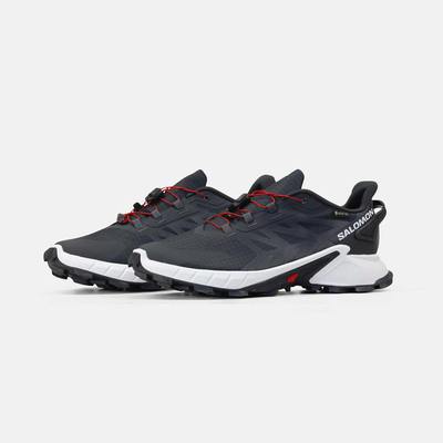 Кросівки Salomon Alphacross 5 GORE-TEX Blue White (Синій) - фото 2 
