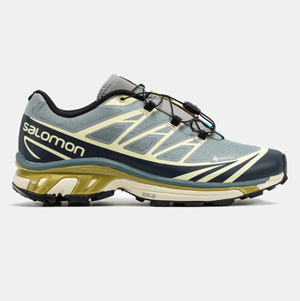 Зимняя обувь Salomon XT-6 Gore-Tex Blue Beige Olive