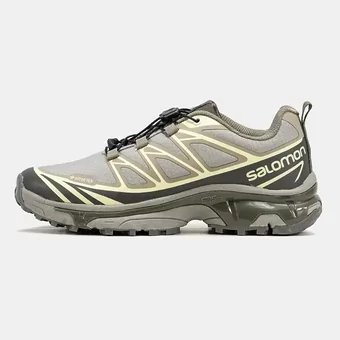 Зимняя обувь Salomon XT-6 Gore-Tex Taupe Olive