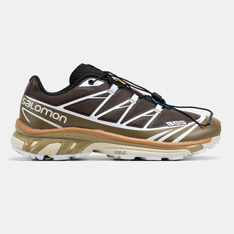 Кроссовки Salomon XT-6 Softground Brown Caramel White