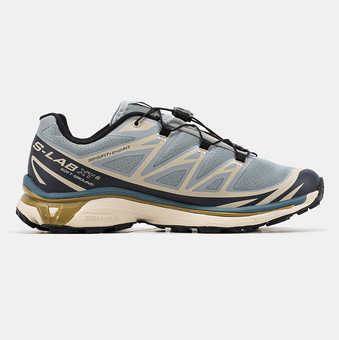 Кросівки Salomon XT-6 Softground Desert Sage Multi