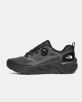 Кросівки The North Face BOA Gore-Tex Grey